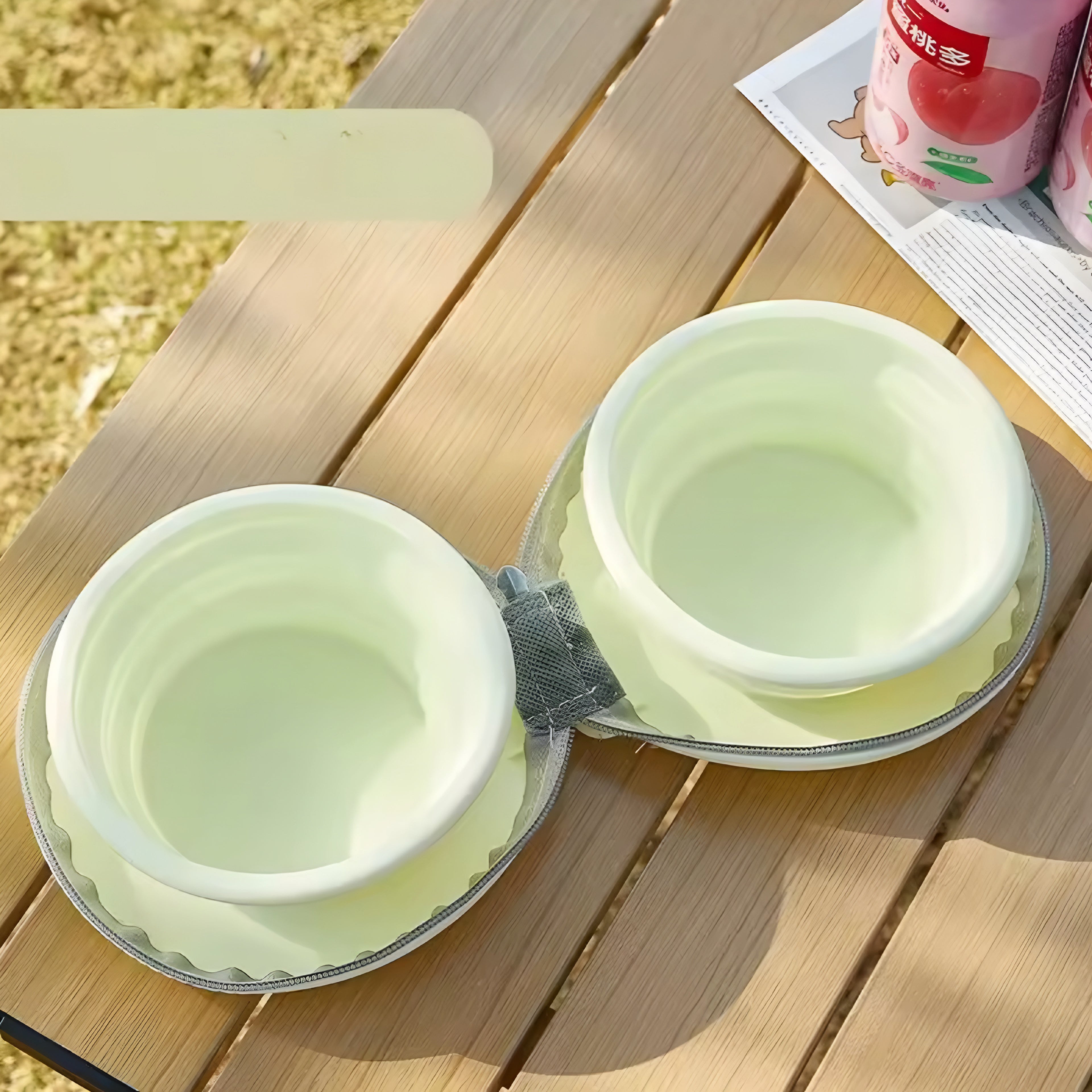 Ciotola Pieghevole 2-in-1 in Silicone per Cani