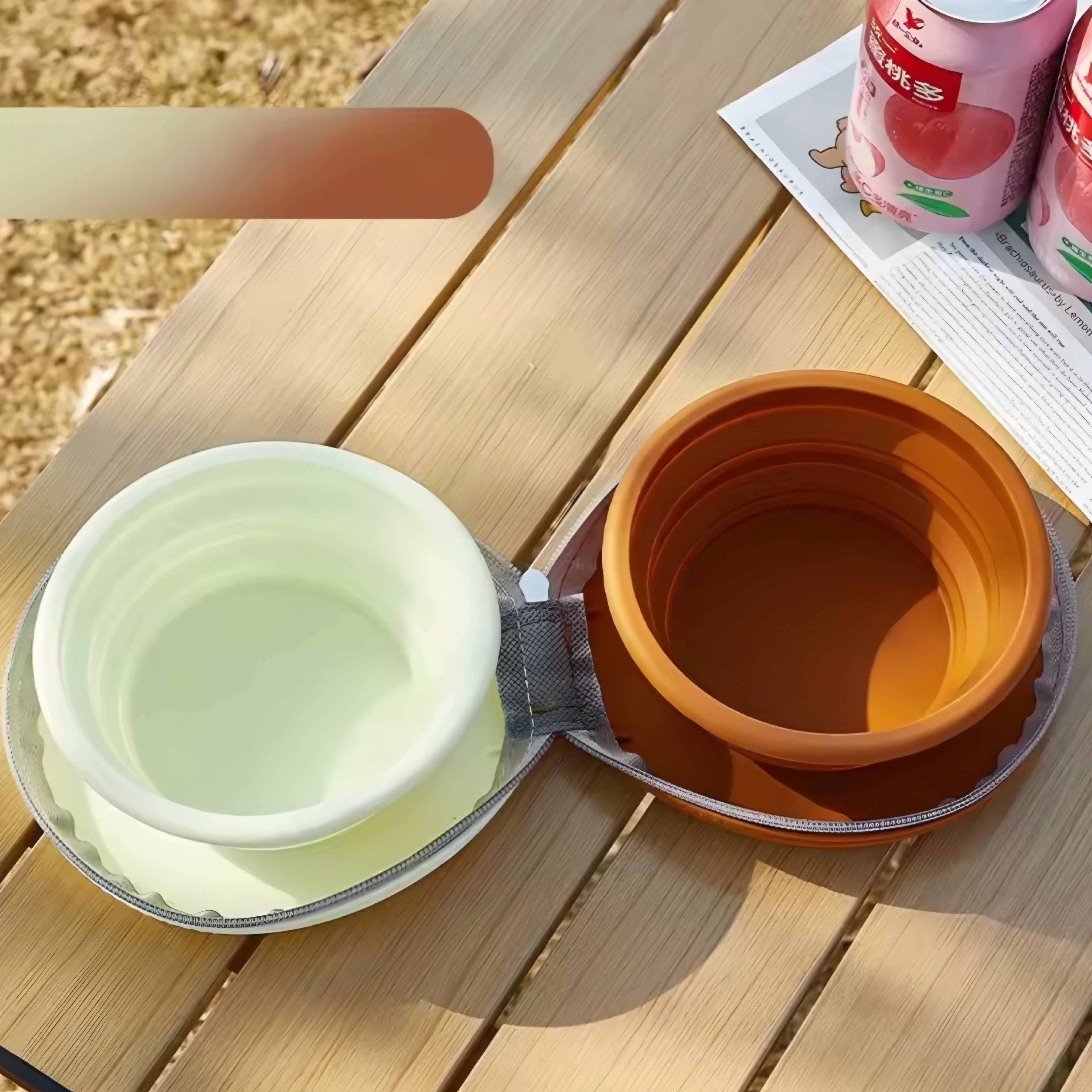 Ciotola Pieghevole 2-in-1 in Silicone per Cani