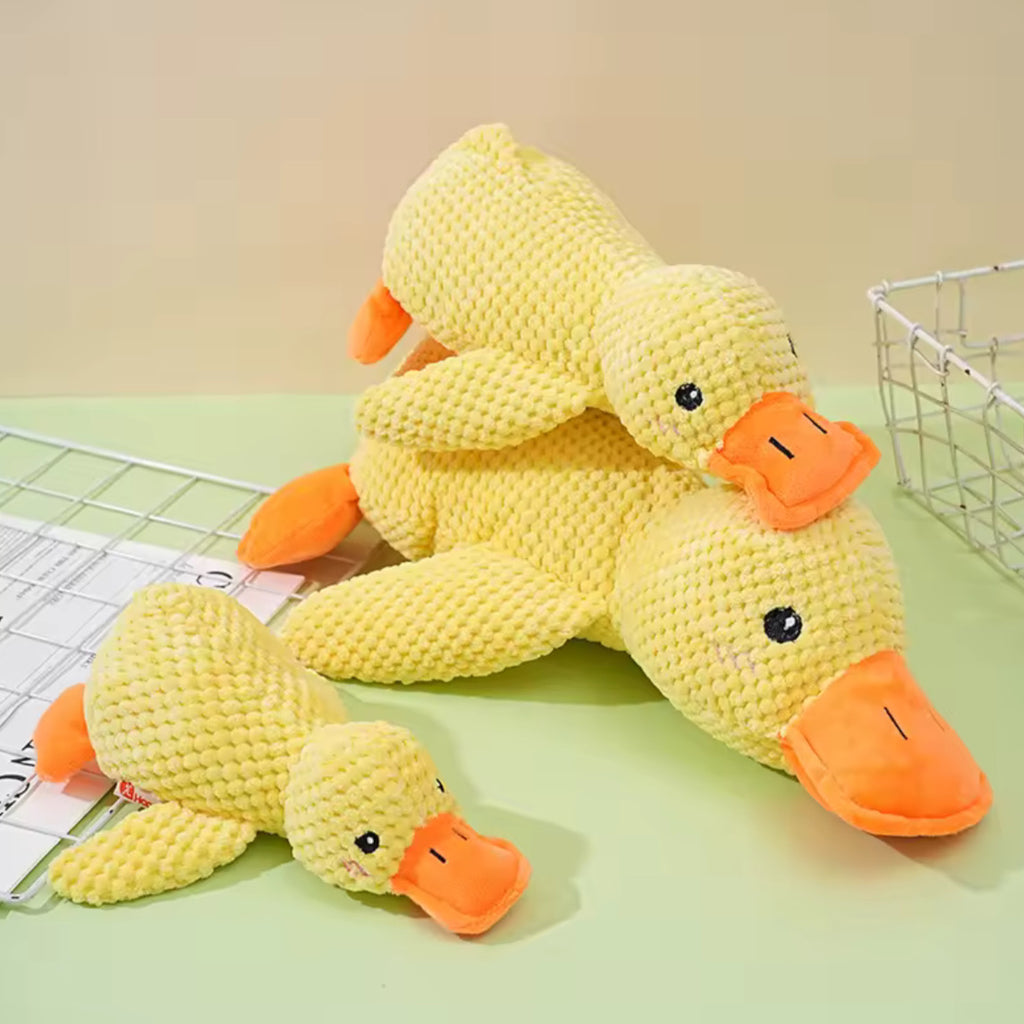 Peluche Cane Anatra