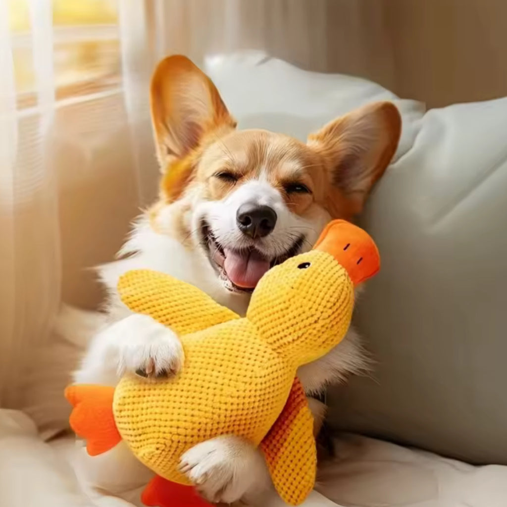 Peluche Cane Anatra