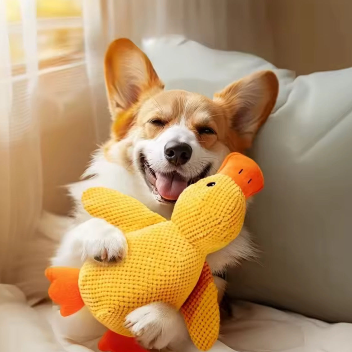 Peluche Cane Anatra