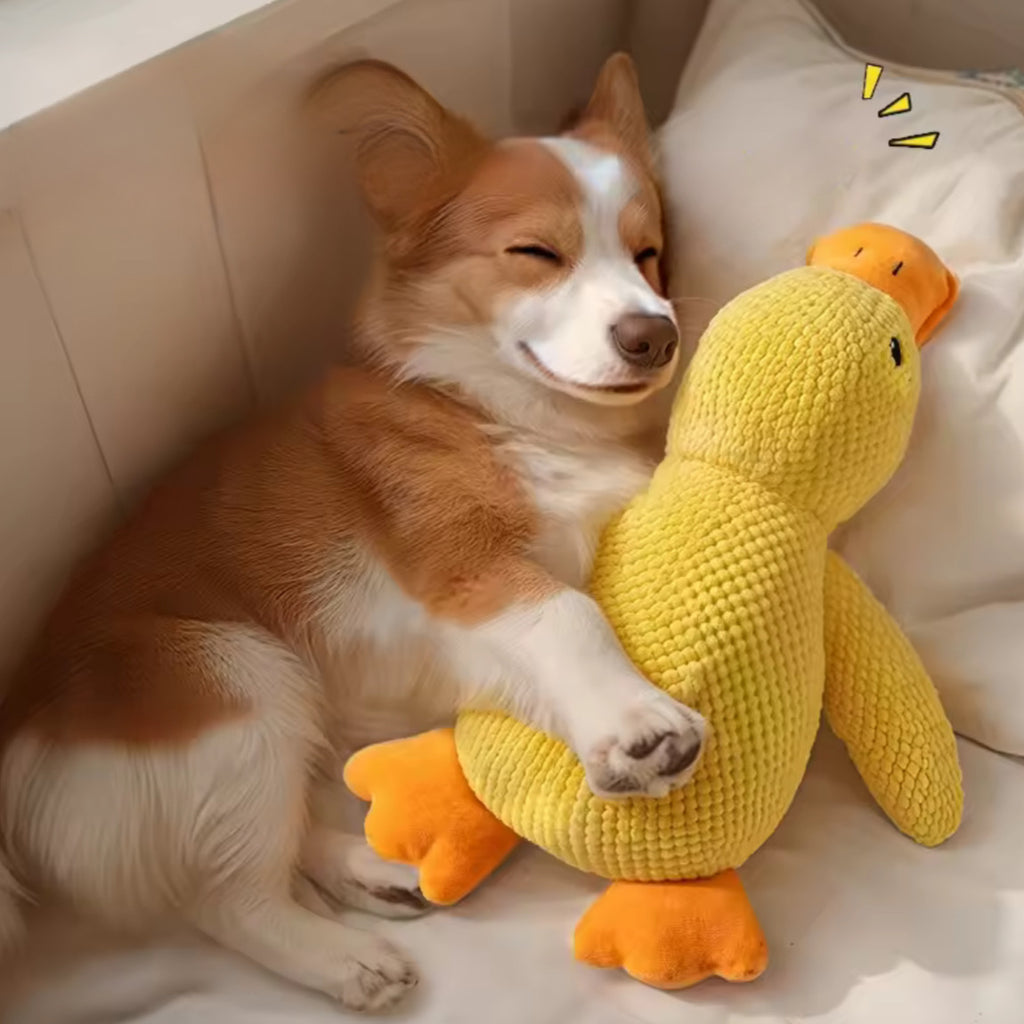 Peluche Cane Anatra